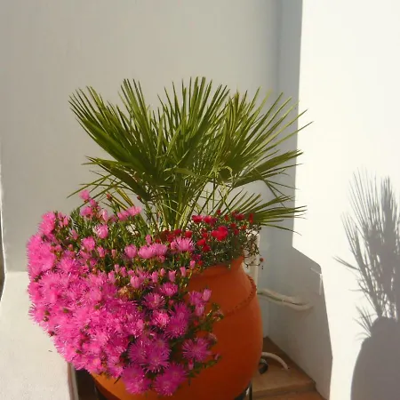 Holiday home Casa Do Gato