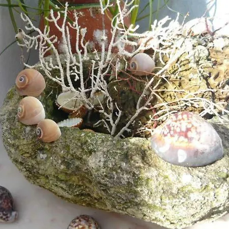 Hébergement de vacances Casa Do Gato *