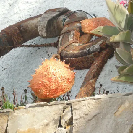 Casa Do Gato * Ferragudo (Faro)