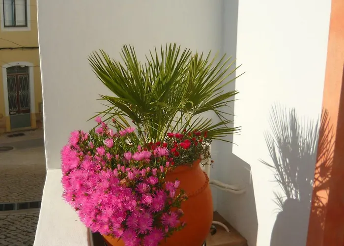 Nyaraló Casa Do Gato