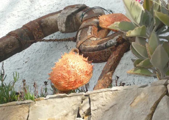 Casa Do Gato * Ferragudo